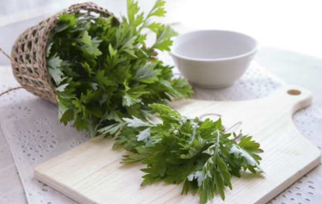 Mỹ phẩm nguồn gốc thiên nhiên 4