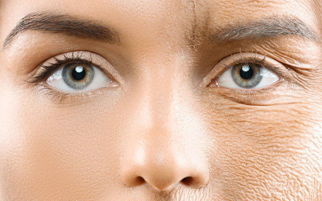 Lão hoá da có thực sự đáng sợ